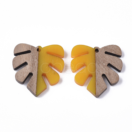 Resin & Wood Pendants X-RESI-S358-24F-1