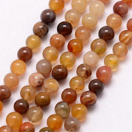 Natural Petrified Wood Bead Strands G-K146-42-3mm-1