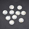 Shell Cabochons SSHEL-E568-B26-2