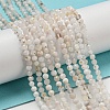 Natural Rainbow Moonstone Beads Strands G-A097-A02-03-1