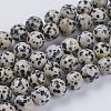 Natural Dalmation Jasper Beads Strands G-G515-10mm-06-1