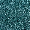 MIYUKI Delica Beads SEED-X0054-DB1228-3