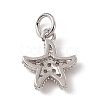 Brass Micro Pave Cubic Zirconia Charms ZIRC-F132-13P-2