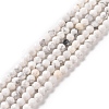 Natural Howlite Beads Strands G-H273-02B-1