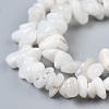 Natural White Moonstone Beads Strands X-G-P332-01-4
