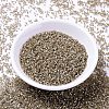 MIYUKI Delica Beads SEED-J020-DB1862-2