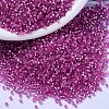 MIYUKI Delica Beads X-SEED-J020-DB2153-1