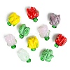 Handmade Lampwork Beads LAMP-CJ0002-04-9