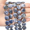 Natural Blue Spot Jasper Beads Strands G-A292-A10-01-2
