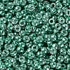 TOHO Round Seed Beads SEED-JPTR08-0561-2