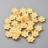 Opaque Resin Flower Cabochons LS-CRES-WH0010-053A-03-1