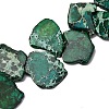 Natural Imperial Jasper Beads Strands G-E444-12A-01-1