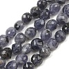 Natural Cordierite/Iolite/Dichroite Beads Strands GG-CBA9A7F-A02-2