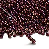 TOHO 6/0 Round Beads X-SEED-TR06-0502-2