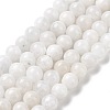 Natural Rainbow Moonstone Beads Strands G-I249-B04-01-7