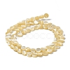 Natural Trochus Shell Beads Strands BSHE-P033-02-4