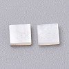 Natural White Shell Mother of Pearl Shell Cabochons SHEL-T007-27B-2