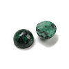 Natural Green Spot Jasper Cabochons G-H309-03-44-2