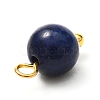 Natural Mixed Gemstone Charms PALLOY-JF00992-01-4