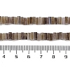 Handmade Lampwork Beads Strands LAMP-Q037-02B-13-4