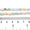 Rainbow Color Dyed Natural Freshwater Shell Beads Strands SHEL-G018-02H-4