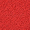 11/0 FGB Grade A Round Glass Seed Beads SEED-N001-A-1069-2