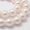Shell Pearl Bead Strands BSHE-L026-03-14mm-3