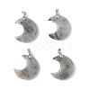 Natural Labradorite Pendants G-Z022-04L-1