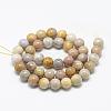 Natural Fossil Coral Beads Strands G-R446-6mm-28-2