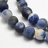 Natural Sodalite Beads Strands G-J364-01-6mm-3