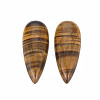 Natural Tiger Eye Cabochons G-N326-123A-2