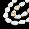 Natural White Shell Beads Strands X-PBB263Y-1-5