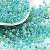 Glass Seed Beads SEED-A032-01M-1