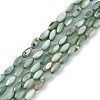 Natural Freshwater Shell Dyed Beads Strands X-SHEL-M018-13-11-1
