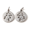 Non-Tarnish 304 Stainless Steel Charms STAS-D050-07P-03-2