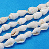 Natural Trumpet Shell Beads Strands X-S02KI011-1