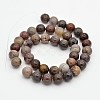 Natural Petrified Wood Round Beads Strands G-P101-01-8mm-2