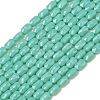 Opaque Glass Beads Strands GLAA-Z018-D21-1