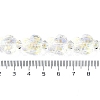 Transparent Glass Enamel Beads Strands GLAA-B021-06L-4