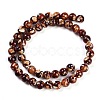Synthetic Amber Beads Strands G-M199-A01-03-3