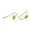 304 Stainless Steel Earring Hooks STAS-B087-09A-G-2