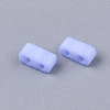 2-Hole Baking Paint Glass Seed Beads SEED-S023-17B-30-2