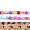 Dyed Natural Freshwater Shell Beads Strands SHEL-T020-56A-4