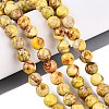 Natural Imperial Jasper Beads Strands G-N342-63J-1