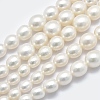 Natural Cultured Freshwater Pearl Beads Strands PEAR-K003-21C-1