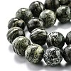 Natural Green Zebra Jasper Beads Strands G-L574-05C-3