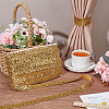 Polyester with PVC Paillette Lace Trim Ribbon OCOR-WH0101-91A-4
