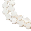 Natural Freshwater Shell Beads Strands SHEL-K010-02B-3