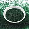 MIYUKI Round Rocailles Beads SEED-X0056-RR0156-2