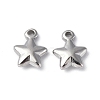 Non-Tarnish 304 Stainless Steel Charms STAS-C066-19P-1